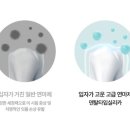 엘리트덴탈 이미지