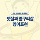 [영단기] 다이어트 성공기원! 뱃살영어표현 4가지♥ 이미지