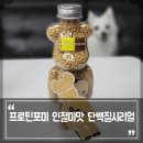 포미병과