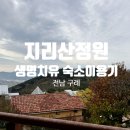 [국내여행] 지리산정원 생명치유 104호 이용기_11월중순