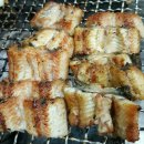 섯다장어 이미지