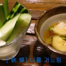 사카나 이미지