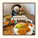 강아지 별장 | 충남 청양 맛집 별장앤봄 | 애견동반 수제돈가스 찐맛집
