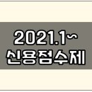 신용 티스토리