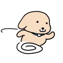 신안씨엔에스