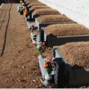 천지인장묘 이미지