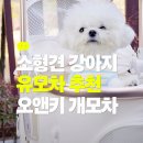 오앤 | 소형견 강아지 유모차 추천 오앤키 개모차 사용 후기