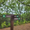 수전지 | 대구 청룡산과 삼필봉 연계 산행 수변 공원 출발 삼필봉 황룡산 청룡산 청룡굴 코스