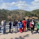 녹수초교 이미지