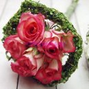 장미유치원 이미지