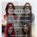 전대안경 | 화미주아티클헤어 전대후문점 퍼스널컬러염색 후기