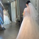 감내2 | 루나스포사 본식드레스 셀렉 후기｜피팅 과정부터 추가금까지 솔직공개