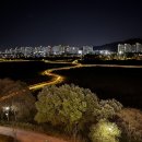 카페와나카