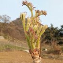 신구농장 이미지