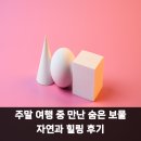 자연과우리 | 주말 여행 중 만난 숨은 보물 자연과 힐링 후기