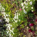 장자대로 이미지