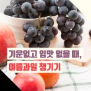 [기운없고 입맛 없을 때, 여름과일 챙기기] 이미지