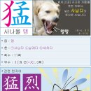 부수로 익히는 한자 이미지