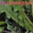 이마트24 익산병원점