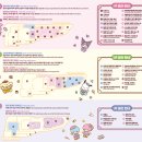 헬로키티아일랜드 티스토리