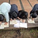 중동초등학교2 이미지