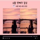 서부면허시험장 버스정류장(14-493) | 6월 세번째 일상💛 (6월 16일~6월 22일)
