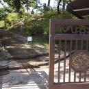 방학동 은행나무 이미지