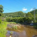 블러썸스파펜션 이미지