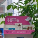 서문로약국 이미지