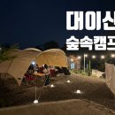 대이산매점 | [경기도 안성 캠핑장] 아이와 함께 가기 좋은 캠핑장 추천, 대이산숲속캠프 후기 및 사이트 정보