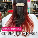 금화로L | 용인 기흥 헤어날드 겨울쿨톤 염색레드 계열 만족 후기