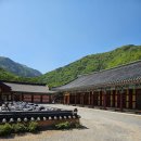 스테이523 | 편식쟁이들에게 추천하고 싶은 밥이 맛있게 나오고 편하게 쉬어갈 수 있는 "포항 보경사 템플스테이" 후기