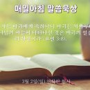 3월 2일(일) 연착한 천사 이미지