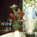 세나투스주