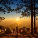 선산한의원 네이버블로그