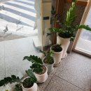 강서구-86 | 📦 [사상구·사하구·강서구 폐기물 수거 후기]