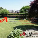 아성공인중개사사무소 이미지