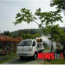 노루생태관찰원 이미지