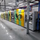 백조크리닝 이미지