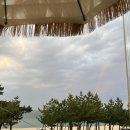 건도리