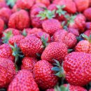 아라주는딸기영농조합법인 이미지