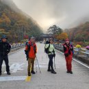 ◎ 이렇게 아름다워도 되는겨? 환장할 청량산의 추색(秋色) 이미지