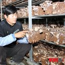 아름다운밀양농장 이미지