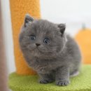 연제구-045 이미지