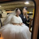 강기사 카 샵 | 본식당일 웨딩카 '올밴' 어플로 예약하고 이용한 후기(기사님 추천)