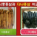 다나홍삼