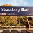 신교해변 이미지