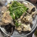 밀레니엄 오락실 | [경북포항]밀레니엄-아구수육-내돈내먹솔직후기