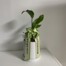 코코호도문산점 | 밍밍한 한주일기#11