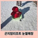 놀이터 게임장 | 곤지암리조트 눈썰매장에서 36개월 이하 눈놀이터 논 후기